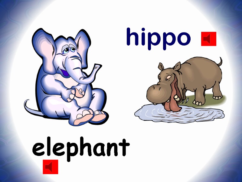 elephant hippo